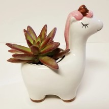 Live Succulent in Ceramic Unicorn Pot with Sedum Live Plant, White Horse Planter