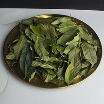 Top Quality Natural Golden Flower Leaf Tea, Golden Camellia Leaf, Camell... - $29.99