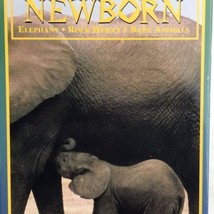 Natures Newborn VHS Volume 6 Elephants Baby Animals 1994 - £8.23 GBP
