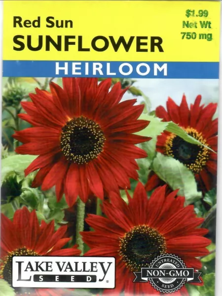 Sunflower Red Sun Heirloom Non Gmo Flower Seeds Lake Valley 12/24 Fresh New - £6.89 GBP