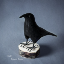 Hand Carved Icelandic Raven / Crow Hrafn - $1,682.93 MXN