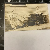 RPPC Black &amp; White Baby Girl In Wagon Being Pulled By Sheep Ram - £7.07 GBP