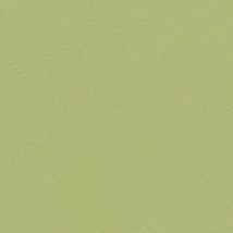 Cotton Kona Sheen Gilded Beige Shimmer Metallic Solid Fabric by the Yard D602.57 - £9.49 GBP