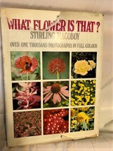 1971 What Flower is That? by Stirling Macobody - £40.90 GBP