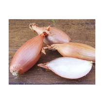 Premier Seeds Direct SHA01 Shallot Zebrune Finest Seeds (Pack of 400)  - £6.34 GBP