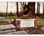 Graveyard Showing Blair Tomb Jamestown Virginia VA UNP DB Postcard O20 - £2.30 GBP