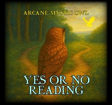 Yes or No Answer Reading – Ask One Question - $15.00