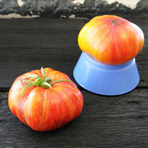 Ship From Us Organic Mr. Stripey Tomato Seeds ~50 Seeds - Heirloom, NON-GMO TM11 - £17.74 GBP