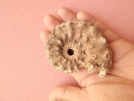 Item image 11