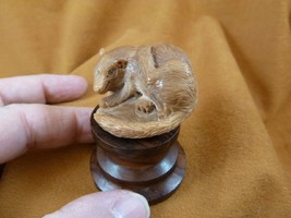 (tb-rat-6) little tan grooming Rat Tagua NUT palm figurine Bali carving ... - $49.08