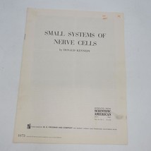 1967 Wissenschaftlich Amerikanisch Offprint Klein Systeme Von Nerve Zellen - $25.41