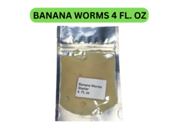 Live Banana worms Culture starter 4fl oz–Perfect First Food for Fry - $11.87
