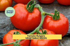 Rutgers Tomato Seeds – 100mg for Planting, Heirloom Variety, Juicy &amp; Mea... - $11.05 CAD