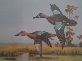 Blue Winged Teal by David Noll 1989 Louisiana Migratory Waterfowl Stamp Print Ar - £94.39 GBP