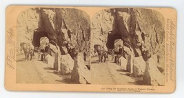 1894 Real Print Stereoview Along the Mountain Road of Western Norway. Horse Cart - £7.52 GBP