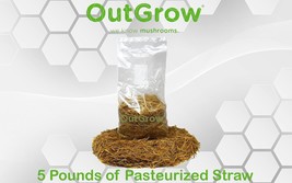 Pasteurized Wheat Straw (5lbs) - £15.38 GBP