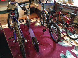 Scooter/Bikes Lot (4 total) – For Parts/Repair/Restoration – Pickup Only - $374.00