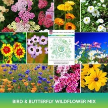 SR Bird And Butterfly Wildflower Mix Seeds - £3.73 GBP