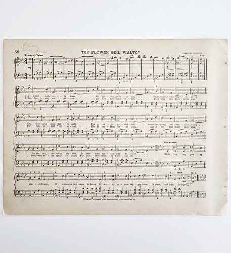 1886 The Flower Girl Waltz Sheet Music Parlor Organ Victorian 11.5 x 9"  Item image 2