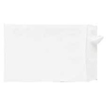 Products  Tyvek Open-End Envelope- Plain- 10in.x13in.x1-.50in.- 100-CT- ... - $231.85