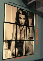 The Munsters Yvonne De Carlo Lily Munster Rasterbator Framed 27X36 Photo Poster - £141.91 GBP