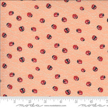 Moda SOLANA Ladybug Peach 48684 19 Quilt Fabric By The Yard - Robin Pickens - £8.55 GBP
