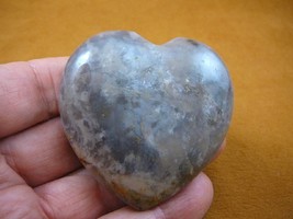 DP4-45 Real DINOSAUR POOP carved Puffy heart Utah Dino Coprolite Fossil display - £29.81 GBP