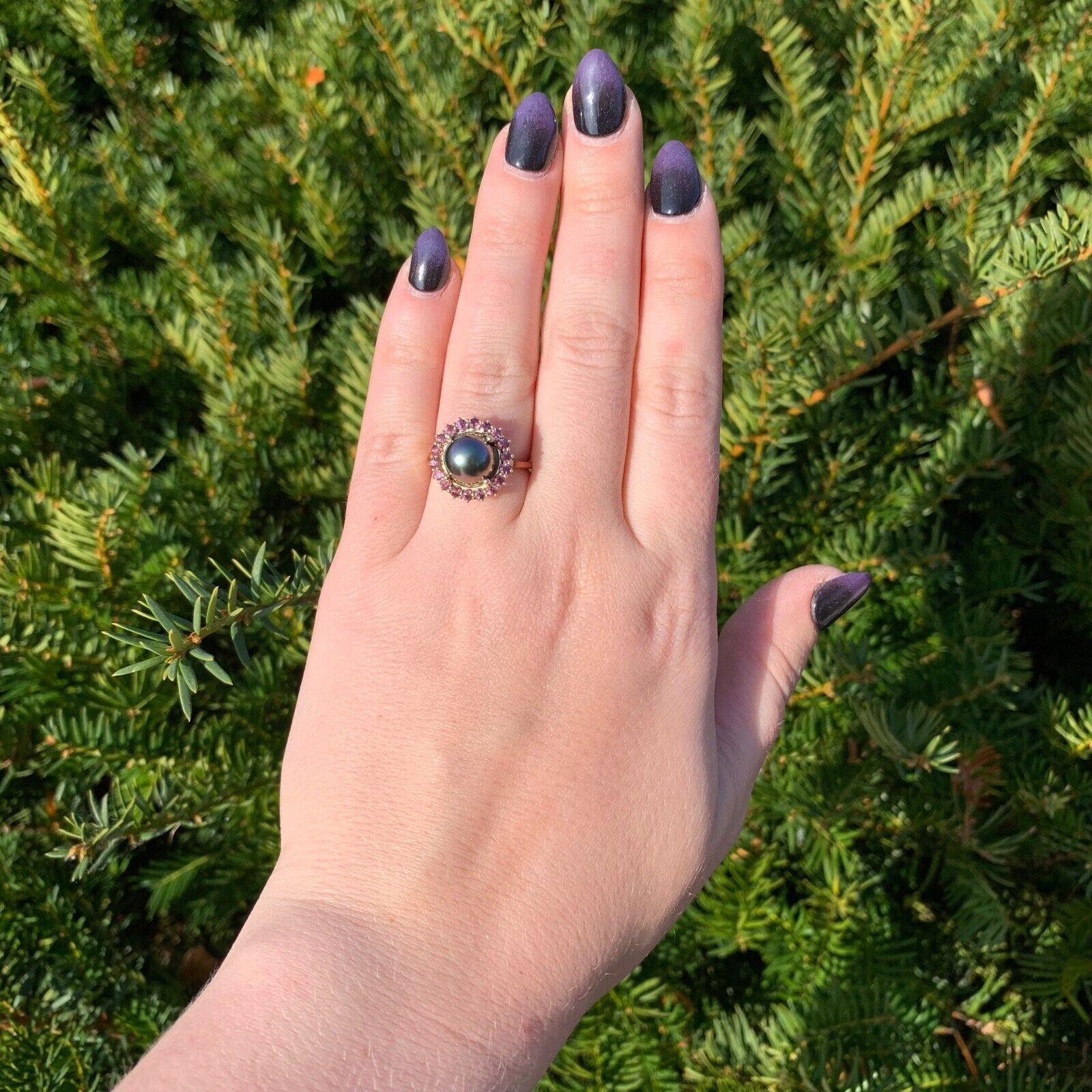 14k White Gold 9.5mm Black Tahitian Pearl and Raspberry Sapphire Ring (#J7019) Item image 7