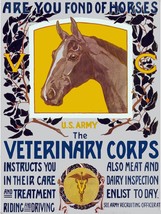 7940.Decoration Poster.Home Room wall fashion art design.Veterinary Corps.Horses - $17.10+