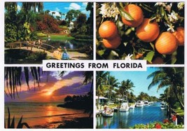 Florida Postcard Multi View Oranges Southern Charm Sunset Marina - £2.28 GBP