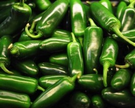 Jalapeno M Pepper Seed  Mildly Hot Salsa Peppers Seeds 0.25Gr  From US - £8.28 GBP