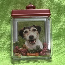 Hallmark Special Dog Ornament 2009 Photo Holder Christmas Keepsake Bones Puppy - £7.08 GBP