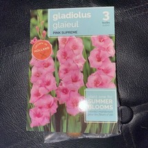 1 Pack of Holland Pink Supreme Gladiolus Bulbs 3 Bulbs In Pkg - $4.95
