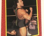 Steiner Brothers WCW Trading Card World Championship Wrestling 1991 #110 - $1.97