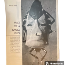 Hemiptera Print Life Auto Tours Ad May 11 1962 Frame Ready Black and White - $8.87