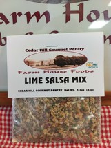 Lime Salsa Mix (2 mixes) easy to make Salsa mix at home - £9.69 GBP