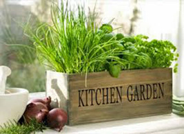 Herb Garden Collection, Small, Heirloom Seeds, 6 Top Varieties Of Herbs From US - $12.99