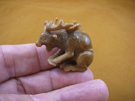 (tb-elk-1) little tan buck Elk Tagua NUT palm figurine Bali carving Moos... - $49.08