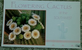 Vintage Color Photo Postcard, Flowering Cactus of The Southwest, USED, VG COND - £1.59 GBP