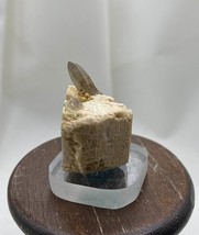 QUARTZ SMOKY CRYSTALS: LAKE GEORGE, TELLER COUNTY, COLORADO, USA -1979 - $44.44