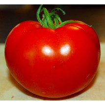 50 Seeds Empire Tomato Juicy Tomatoe Vegetable Garden  - $7.66