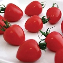 SKMO 50 Seeds Easy To Grow Tomatoberry Tomato Hybrid Vegetable Tomatoe - £6.71 GBP