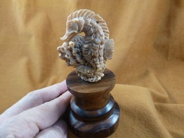 (tb-seah-3) little tan Seahorse Tagua NUT palm figurine Bali carving sea... - $43.47
