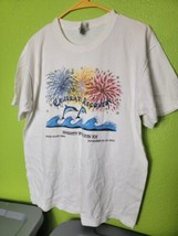 Vintage Narcotics Anonymous Shirt Celebrate Recovery 2001 Dolphins Serenity Sun - £46.99 GBP