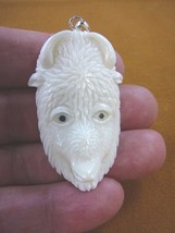 j-buffalo-12) white Albino Buffalo bison head aceh bovine bone carving PENDANT - £26.89 GBP