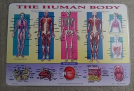 Vintage 1994 Human Body Painless Learning Placemat - $13.71
