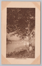 Mountain Lake Scenic View Sepia Tone Early 1900s Vintage Postcard - £11.42 GBP