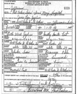 Janis Joplin Birth Certificate Reproduction - £4.70 GBP