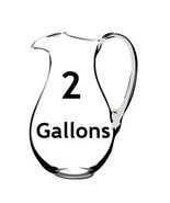 LWM5 - Two (2) Gallons in GLASS John Ellis Living Water Electron Energized  - £98.29 GBP