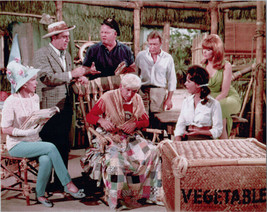 Gilligan&#39;s Island TV series 8x10 photo Denver &amp; cast inside island home - £7.46 GBP